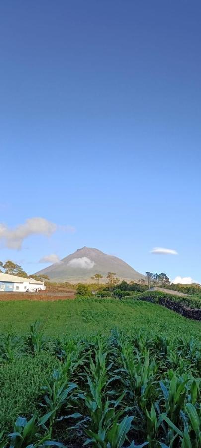 Dream View In Pico Villa Criacao Velha Exterior foto